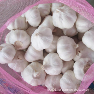 Pure White Garlic with Snow White Skin